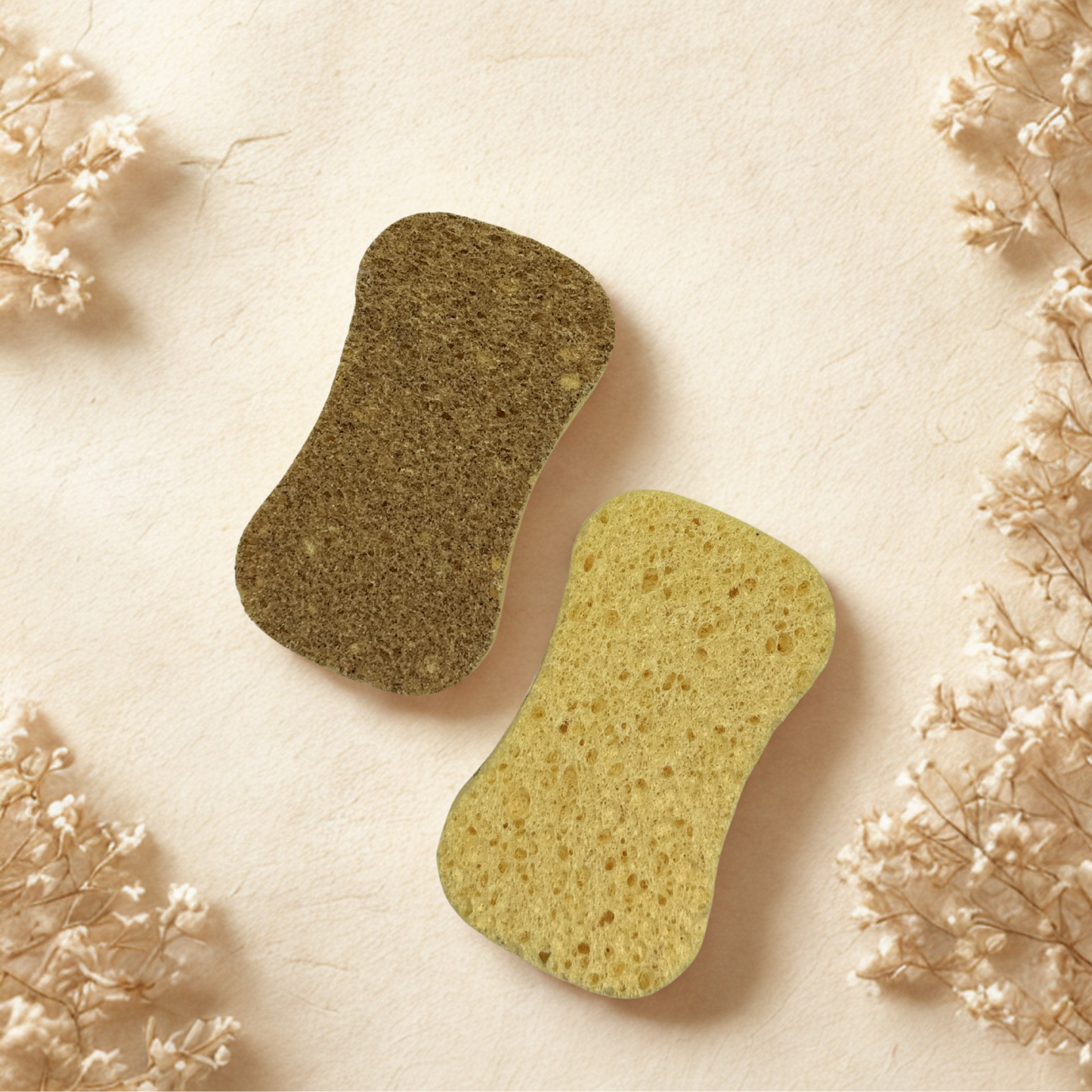 Eponges Grattantes Coques De Fruits